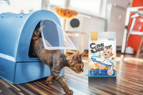 pH Indicator Cat Litter