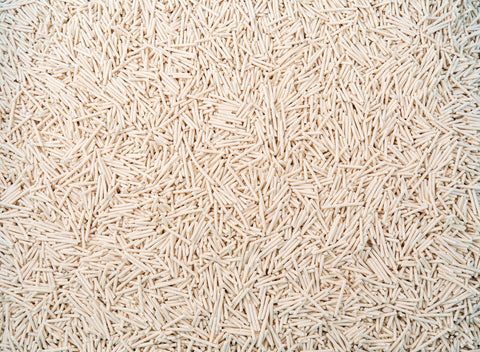 Outstanding Absorbency & Odour Control